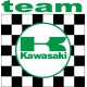 TEAM KAWASAKI