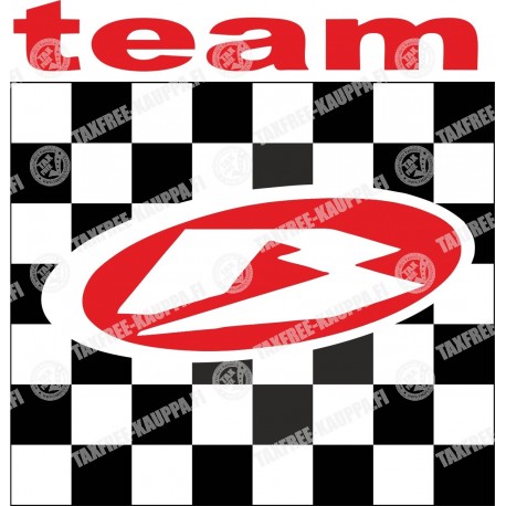 TEAM BETA