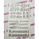 KAWASAKI ER-6n