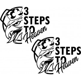 SCANIA 3 STEPS TO HEAVEN