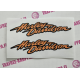 HARLEY DAVIDSON