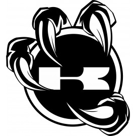 KAWASAKI