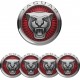 JAGUAR KUPIN TARRAT