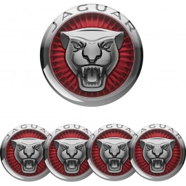 JAGUAR KUPIN TARRAT