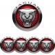 JAGUAR KUPIN TARRAT