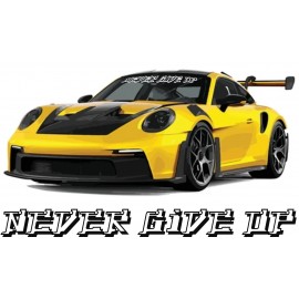 NEVER GIVE UP TUULILASITARRA
