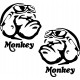 HONDA MONKEY TARRAT