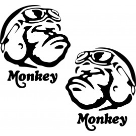 HONDA MONKEY TARRAT