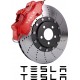 TESLA JARRUSATULA TARRAT