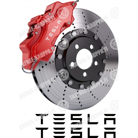 TESLA JARRUSATULA TARRAT