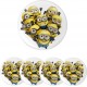 MINION