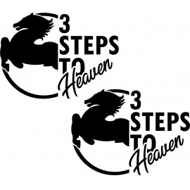 IVECO 3 STEPS TO HEAVEN