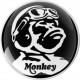 HONDA MONKEY KOHOTARRAT