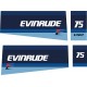 EVINRUDE 75 VRO PERÄMOOTTORI TARRAT