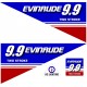 EVINRUDE 9.9 TWO STROKE PERÄMOOTTORI TARRAT