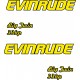 EVINRUDE BIG TWIN 33 HP PERÄMOOTTORI TARRAT