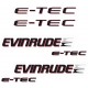 EVINRUDE E-TEC PERÄMOOTTORI TARRAT