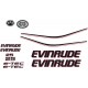 EVINRUDE 25 E-TEC BRP PERÄMOOTTORI TARRAT