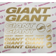 GIANT