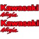 KAWASAKI NINJA