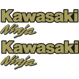 KAWASAKI NINJA