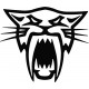 ARCTIC CAT