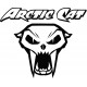 ARCTIC CAT