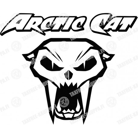 ARCTIC CAT