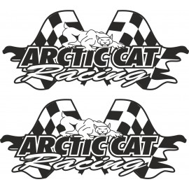ARCTIC CAT RACING