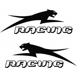 ARCTIC CAT RACING