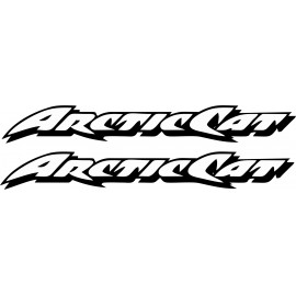 ARCTIC CAT