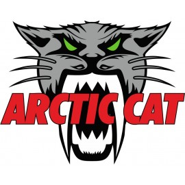 ARCTIC CAT