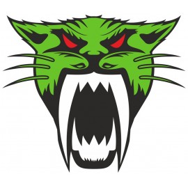 ARCTIC CAT