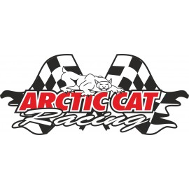 ARCTIC CAT