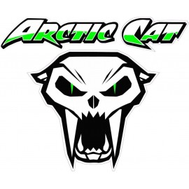 ARCTIC CAT