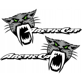 ARCTIC CAT