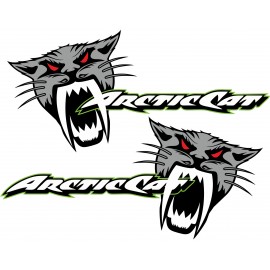 ARCTIC CAT