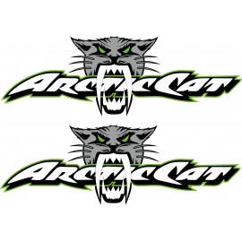 ARCTIC CAT