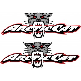 ARCTIC CAT