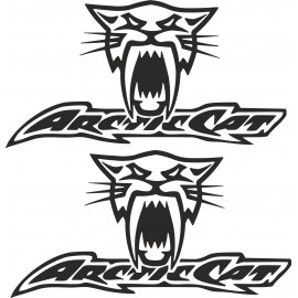 ARCTIC CAT