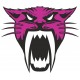ARCTIC CAT