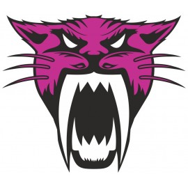 ARCTIC CAT