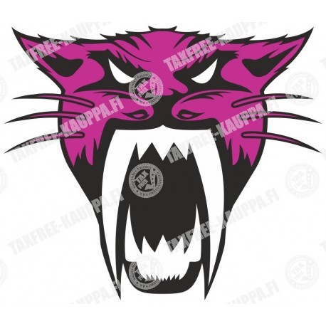 ARCTIC CAT