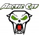 ARCTIC CAT