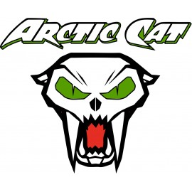 ARCTIC CAT
