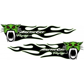 ARCTIC CAT RACING