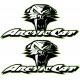 ARCTIC CAT