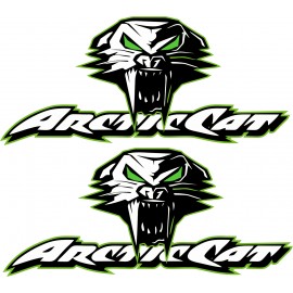 ARCTIC CAT