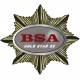BSA GOLD STAR SE