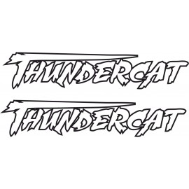THUNDERCAT